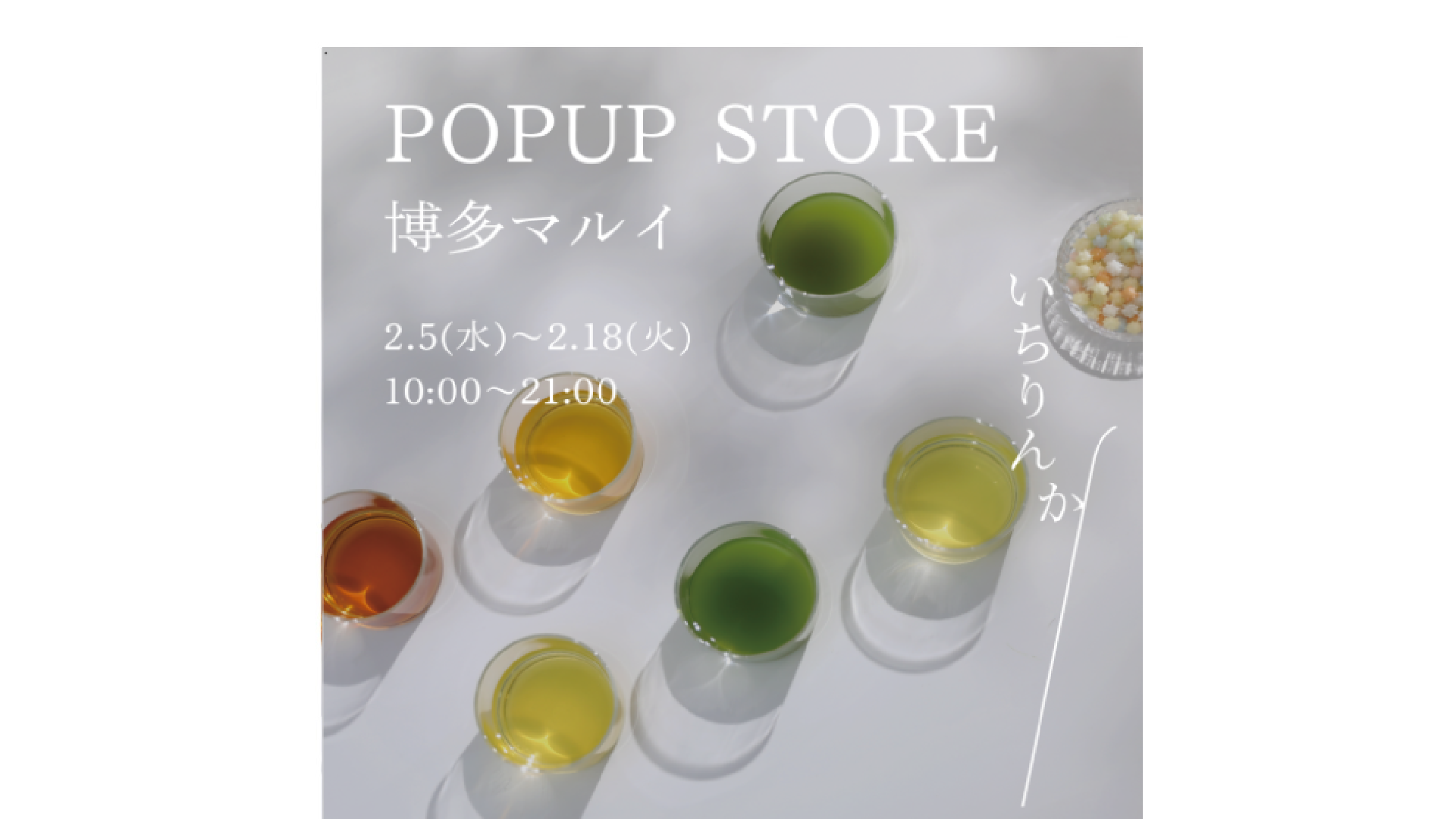 2/5から　博多マルイ初出店！POPUP開催します